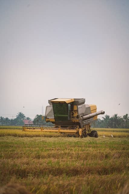 收割 的图像结果