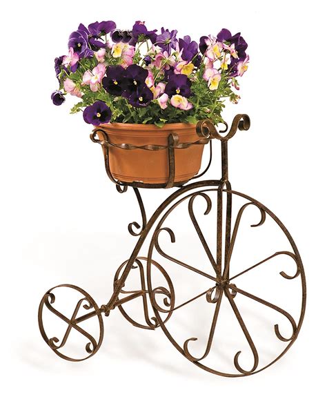 Deer Park BK101 Fancy Bike Planter : Amazon.in: Garden & Outdoors