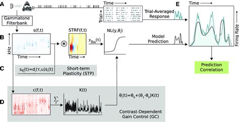 Image result for In-Ear Programming Model Example