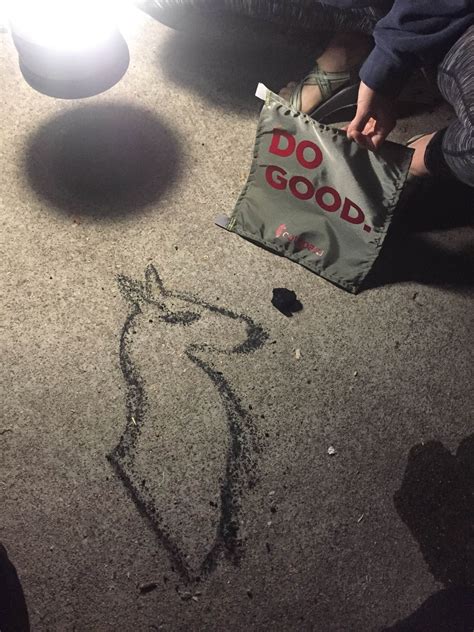 Tanners Flat Camping | Sandy, UT