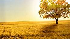 Desktop Wallpaper Gallery by 35 Cool Collection Of Desktop Wallpaper The Wow Style Desktop Wallpaper Gallery
