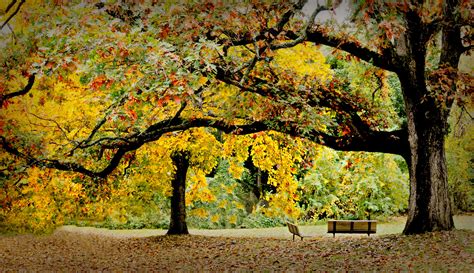 Contact | Crawford Park