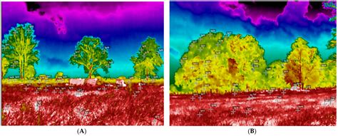 Thermographic Profiles in Livestock Systems under Full Sun and Shaded ...