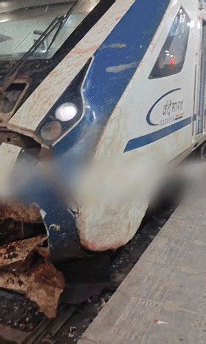 Two camels collide with Jodhpur Vande Bharat in Pali Engine front ...