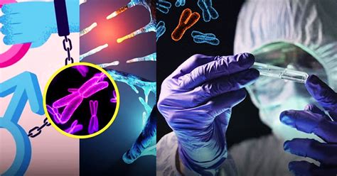 Y Chromosomes Disappearing: गायब हो रहा है Y क्रोमोसोम, क्या सिर्फ ...