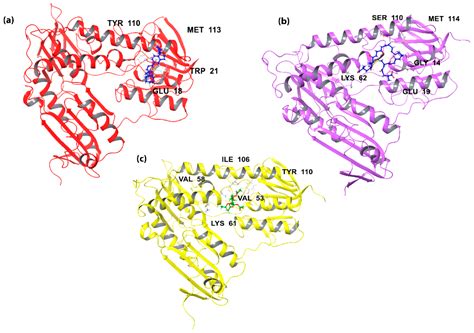 An Overview on Target-Based Drug Design against Kinetoplastid Protozoan ...