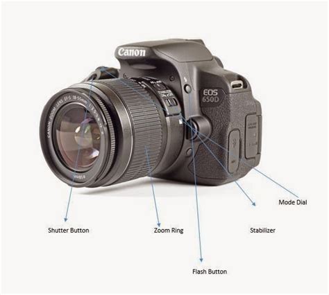 Digital SLR Camera Types 的图像结果