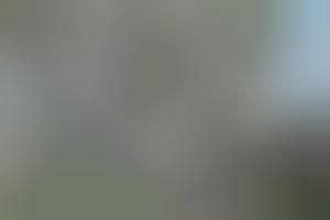 Open-Air Offices : Offices With Terraces