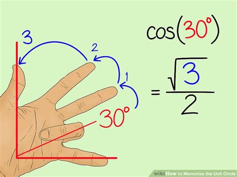 Image result for Unit Circle Hand