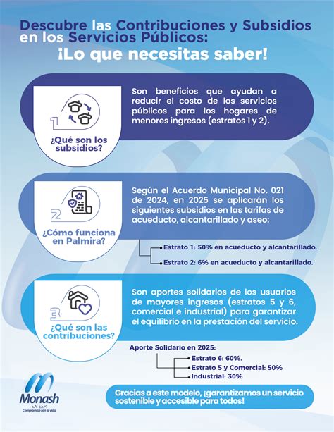 Contribuciones y Subsidios: Un Modelo Solidario para el Acceso a los ...