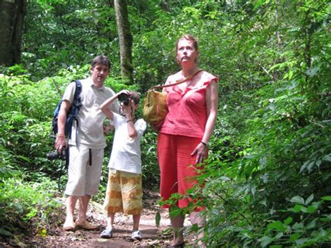 Image result for Eastern Java Bali Rain Forest