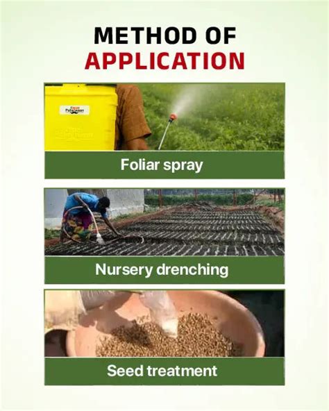 Buy Indofil M-45 Fungicide (Mancozeb 75% WP) | Contact & Protective ...