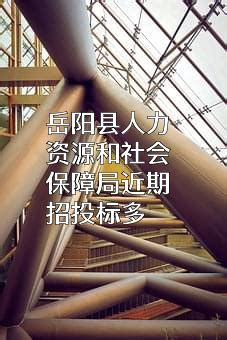岳阳县人力资源和社会保障局近期招投标项目多-商机网