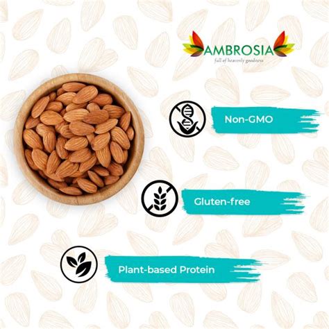 Ambrosia: Premium California Whole Almonds - Pack of 2 - 500 gm each