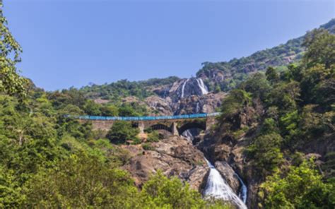 Holi in Goa 2025: Best Holi Parties in Goa for an Epic Celebration