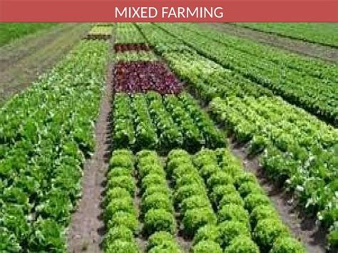 Image result for Human Development Class 12 Economics