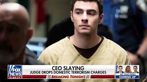 NY judge dismisses domestic terrorism charge against Luigi Mangione for ...