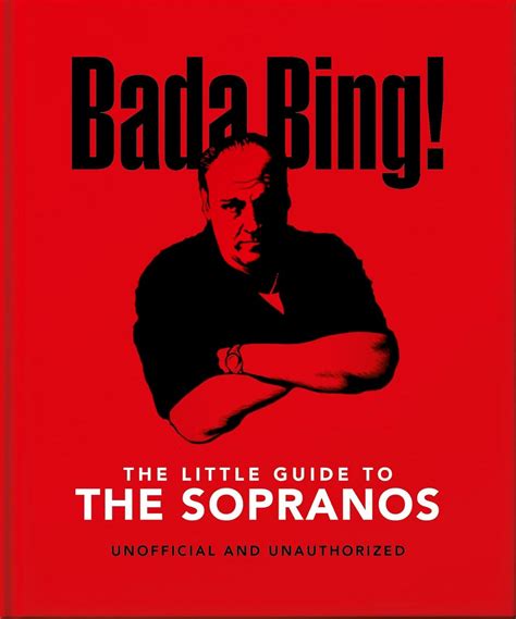 Little Guide To The Sopranos Book – www.shoptherocket.com