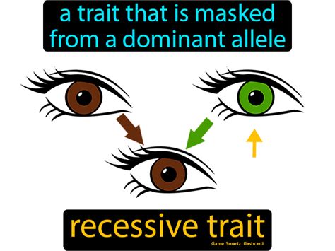 Image result for Recessive Allele Example