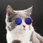 Image result for Pildoras Informaticas Python Video 17