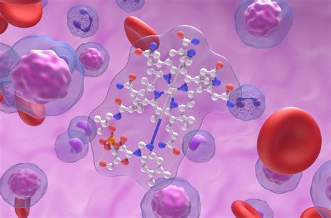 Image result for Folate DNA Synthesis