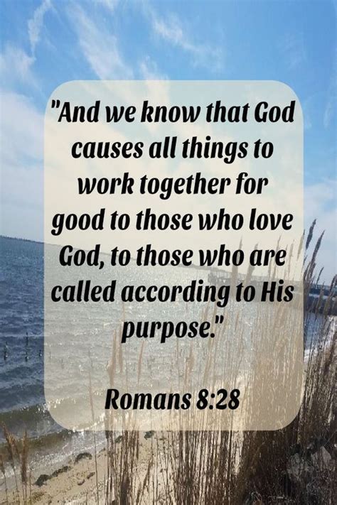 ROMANS 8:28 | Bible promises, Encouraging scripture, Scripture quotes