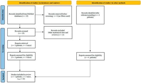 Cells | Special Issue : Hypoxia and Cancer: New Aspects 2.0