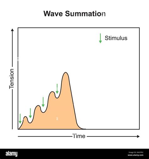 Image result for Wave Summation Graph