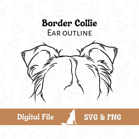 Border Collie Dog Ear Outline SVG Cut File and PNG File for - Etsy Canada
