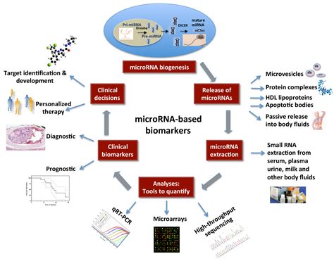 MicroRNAs as Biomarkers in Cancer