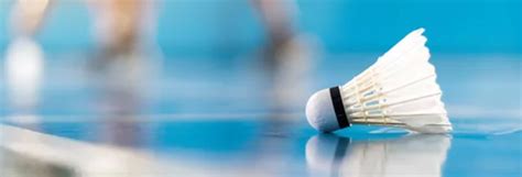 Badminton Coaching in Bangalore and other Cities | The Badminton ...