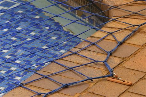 Image result for Swimming Pool Net