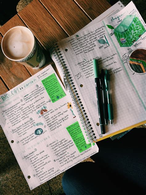 Image result for Study Guide Note Ideas