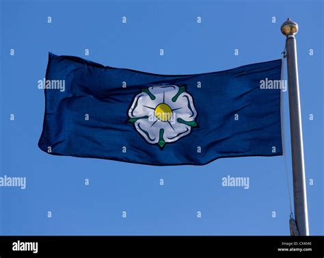 The Yorkshire flag, a white rose on a dark blue background Stock Photo - Alamy