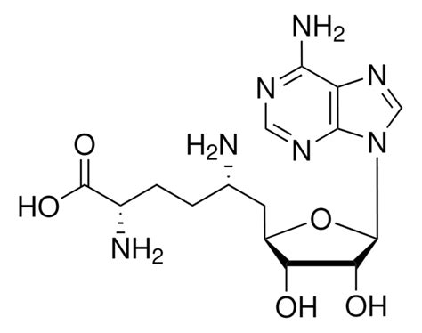 ピューロマイシン 二塩酸塩 Ready Made Solution, from Streptomyces alboniger, 10 mg ...