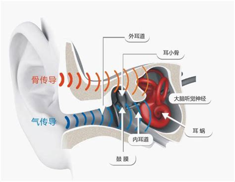 除了真无线，为何骨传导耳机成为耳机发展的又一风口? - 科技先生