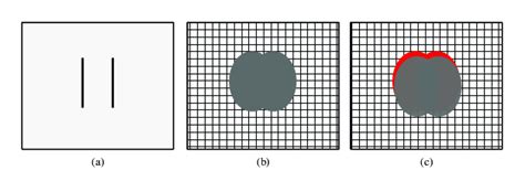Image result for Optical Resolution Explained