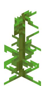 Image result for Minecraft Java Kelp