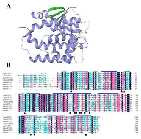 Insects | Topical Collection : Stored-Product Pests: Biology, Ecology ...