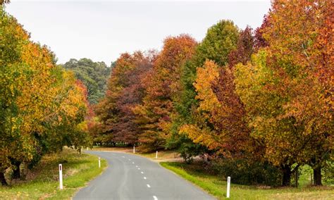 Places to stay near Mount Baw Baw Alpine Resort in Baw Baw Village ...