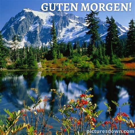 Wunderschönen guten morgen bild See - picturesdown.com