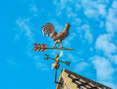 What Weather Vane Means And History Explained Simply