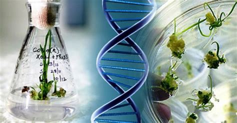 HACCP Training Kerala | HACCP Certification Kochi, Kerala | Internships ...