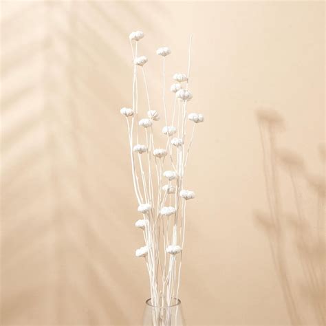 Buy Botanical Naturals Paras Leaf Artificial Branch Stick - 90cm from ...