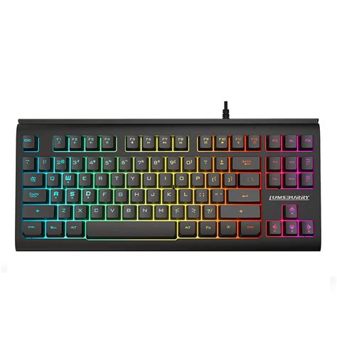 Amazon.in: Buy Rainbow LED Backlit 87 Keys Gaming Keyboard, Compact ...