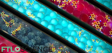 Different Types of Tablets 的图像结果