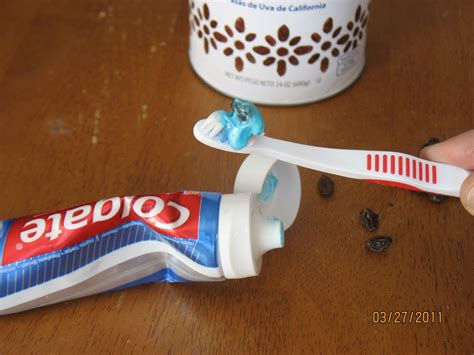 Image result for Devils Toothpaste Prank