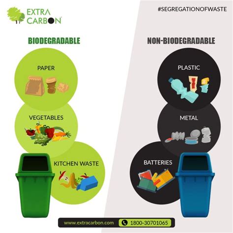 Biodegradable Waste Example 的图像结果
