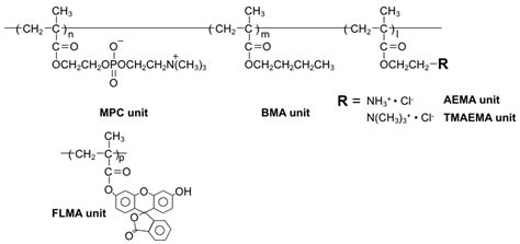 Water-Soluble and Cytocompatible Phospholipid Polymers for Molecular ...