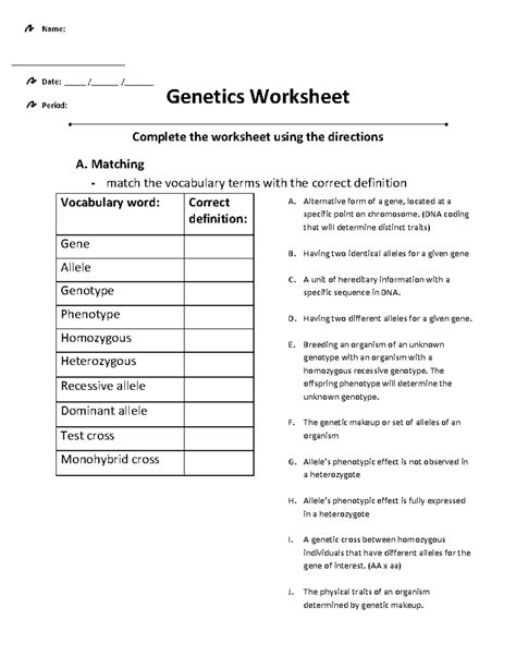 Introductionto Genetics Worksheet - Genetics Worksheet Complete the ...